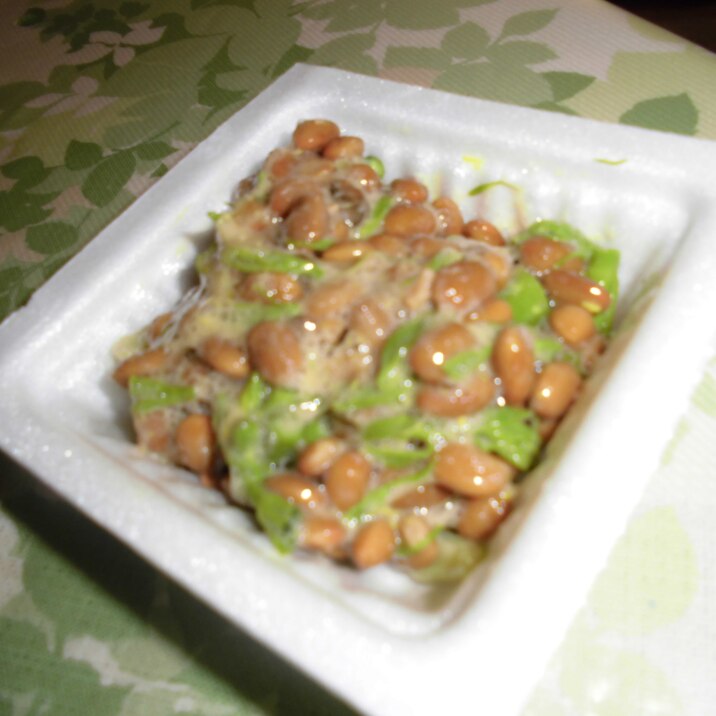 タラの芽納豆